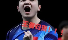 开云在线赛事平台-法国队完胜中国队，樊振东状态火热