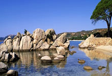 开云体育平台APP-非洲游泳选手获得银牌，速度突破