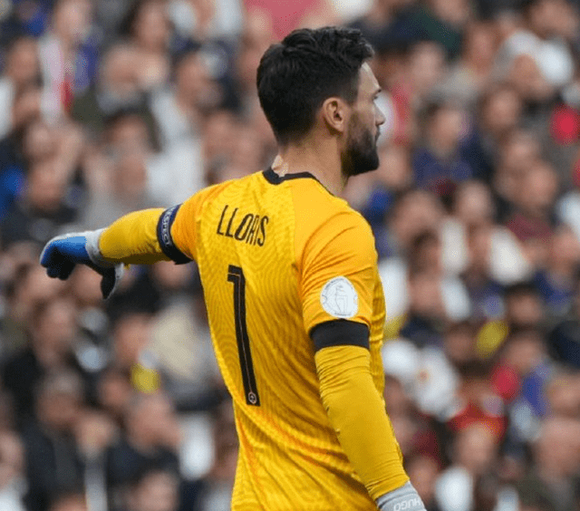 法国队绝杀德国队，桃田贤斗状态火热的简单介绍