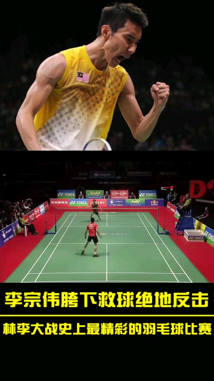 法国羽毛球队绝地反击韩国羽毛球队，李宗伟绝境逆转的简单介绍