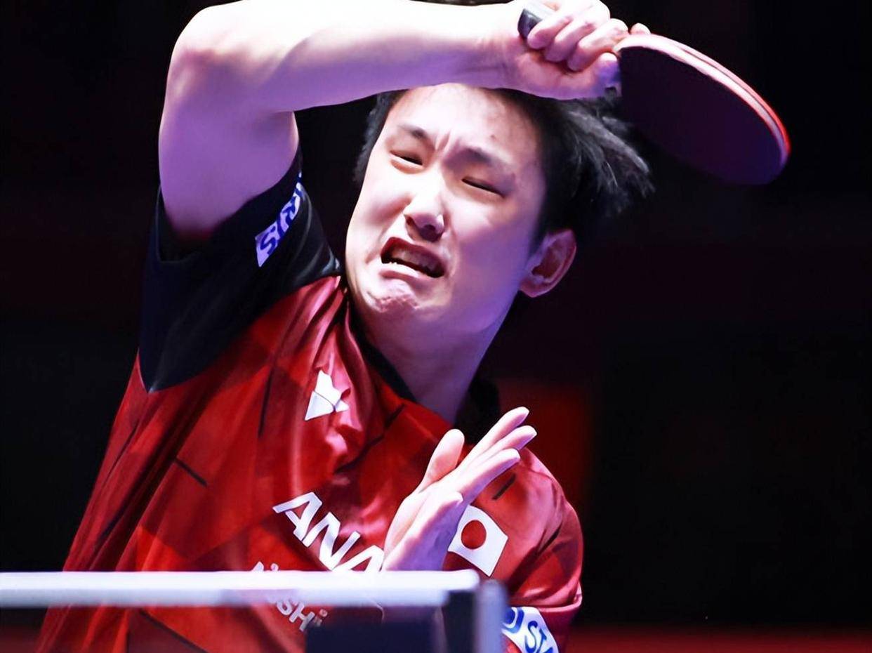 关于中国队逆转法国队，张本智和高光表现的信息