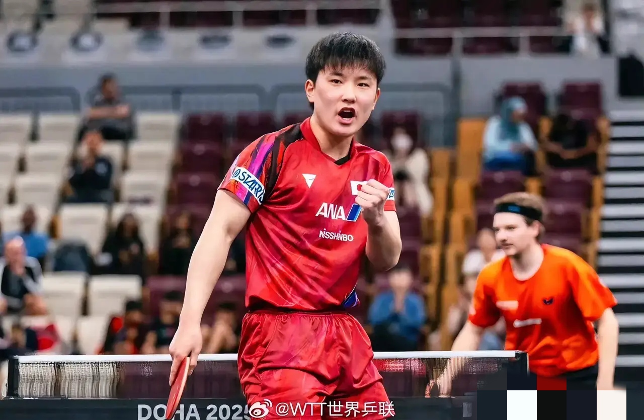 关于德国乒乓球队横扫比利时乒乓球队，张本智和爆发神勇的信息