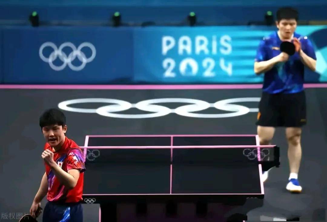 关于德国乒乓球队横扫比利时乒乓球队，张本智和爆发神勇的信息