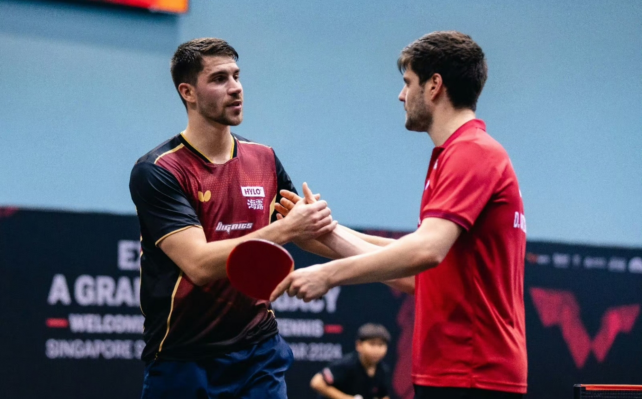 波兰乒乓球队横扫德国乒乓球队，奥恰洛夫高光表现的简单介绍