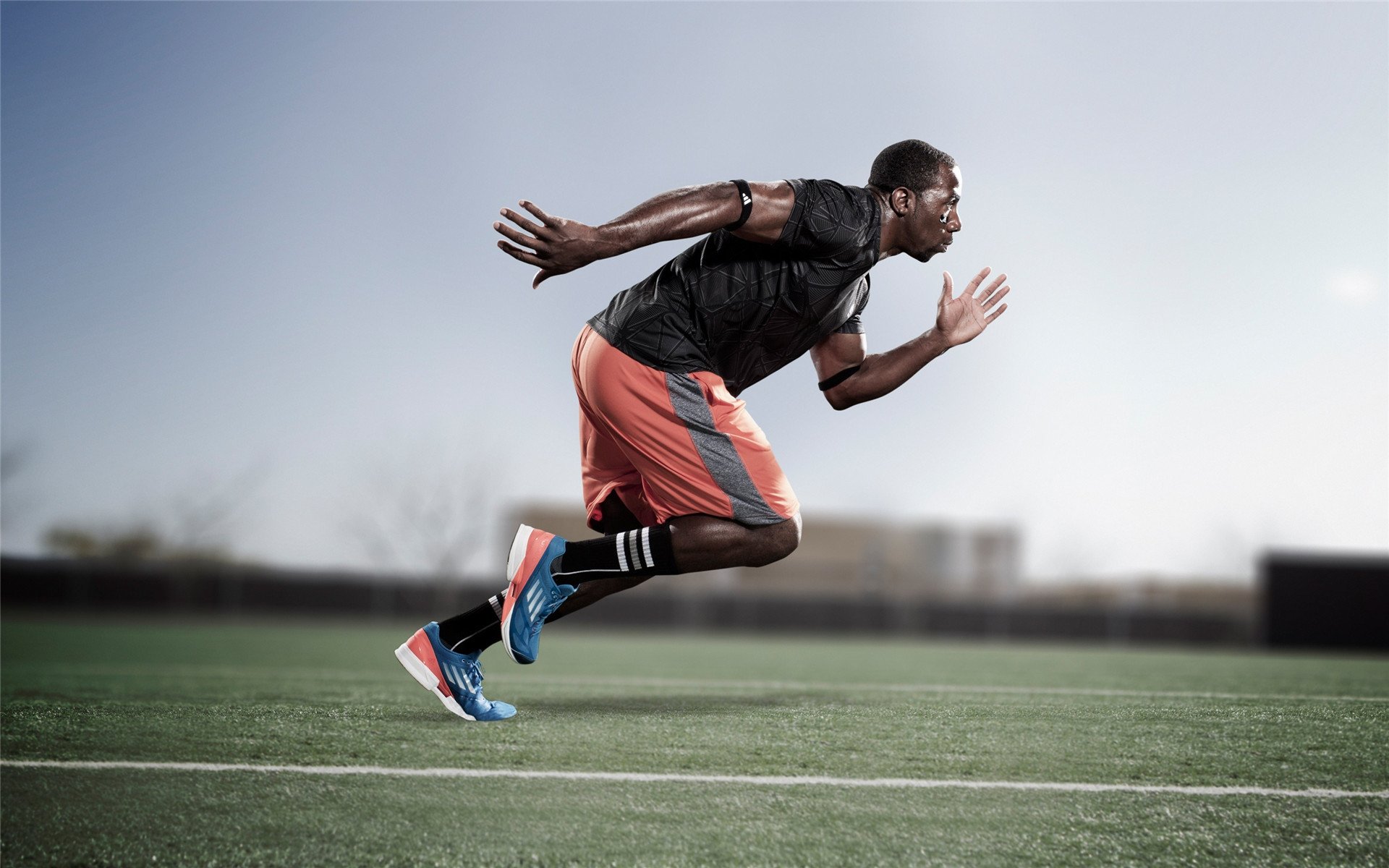 从CBA绝杀到世界杯主宰,霍勒迪的双重时间线—国王最后时刻击败深圳队背后的全球野心