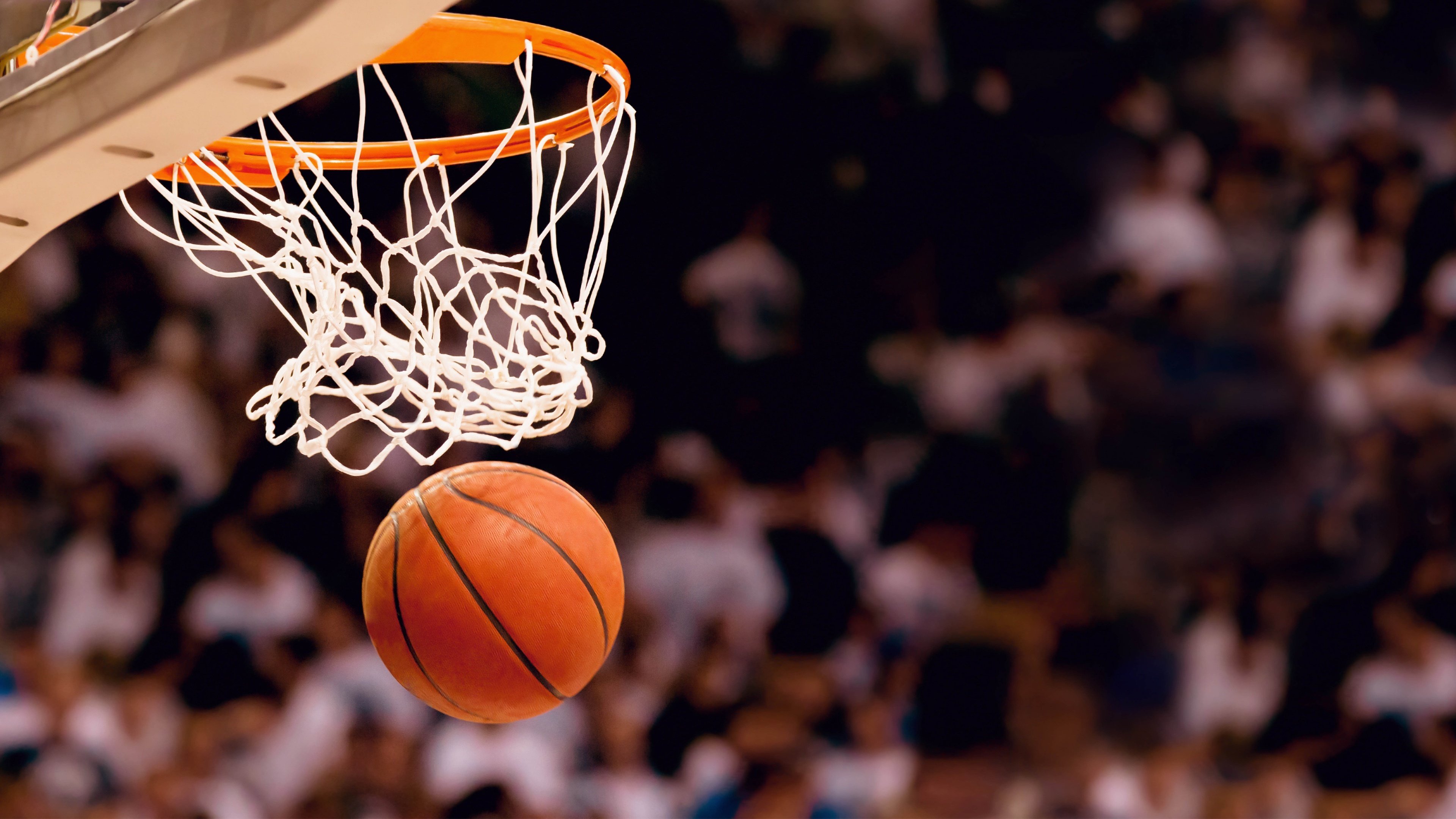 当纪录与团队交响，掘金的狂潮，米切尔的独奏，和NBA杯的唯一性之夜